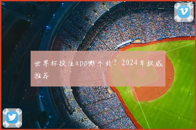 世界杯投注app哪个好?2024年权威推荐
