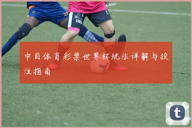 中目体育彩票世界杯玩法详解与投注指南