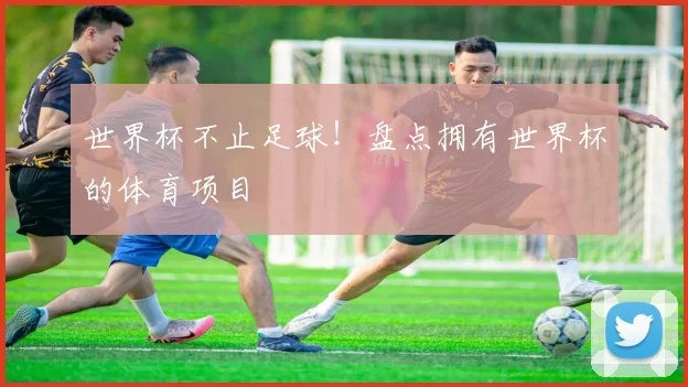 世界杯不止足球!盘点拥有世界杯的体育项目