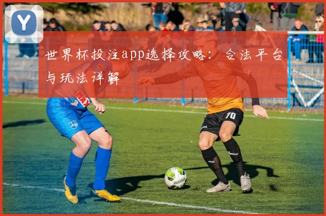 世界杯投注app选择攻略:合法平台与玩法详解