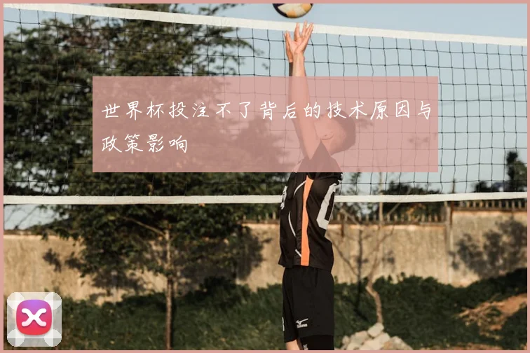 世界杯投注不了背后的技术原因与政策影响