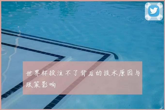 世界杯投注不了背后的技术原因与政策影响